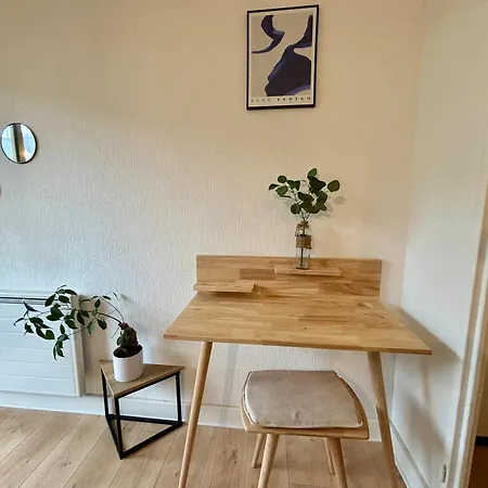 -le Majorelle- Studio Parking Balcon Centre Wifi Appartement